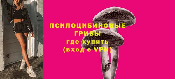 apvp Киренск
