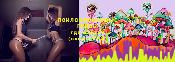 дживик Карпинск